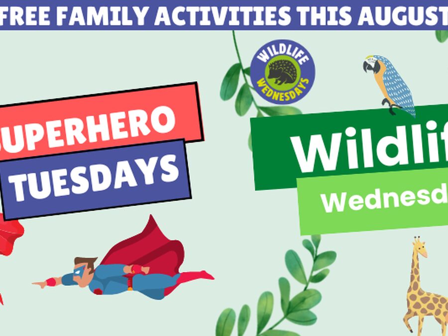FREE Family Activity Days at City College Peterborough